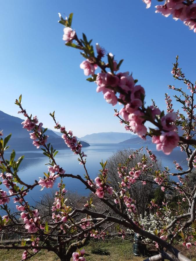 Ca' Del Barba Appartement Domaso Buitenkant foto