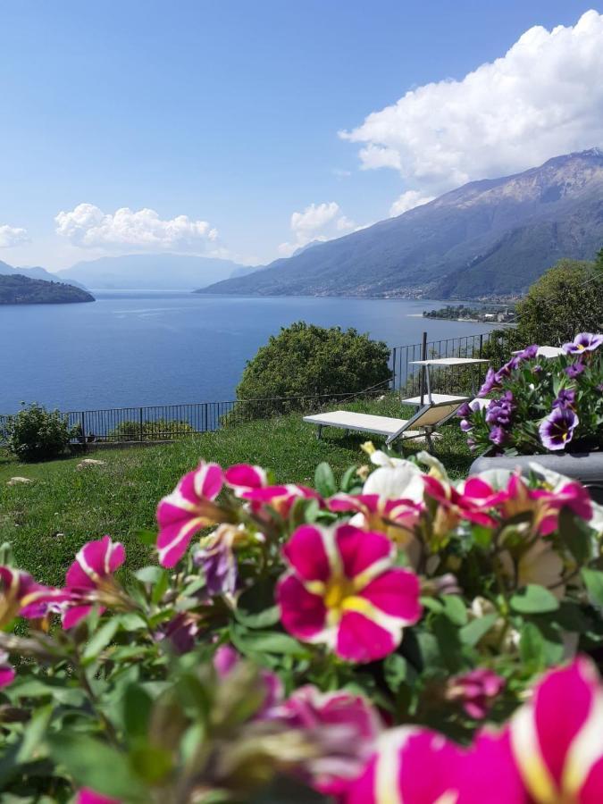 Ca' Del Barba Appartement Domaso Buitenkant foto