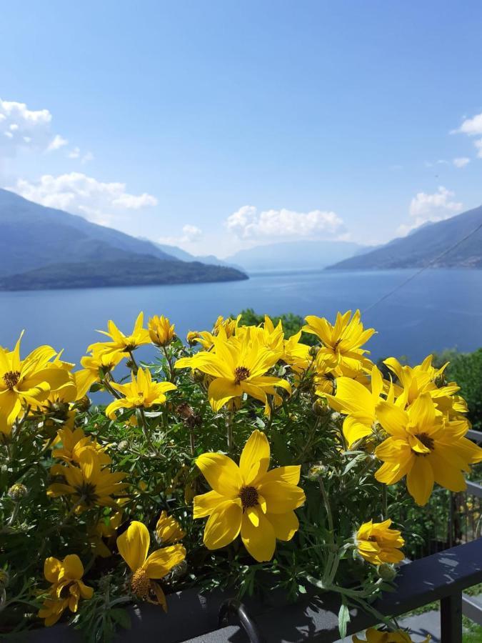 Ca' Del Barba Appartement Domaso Buitenkant foto