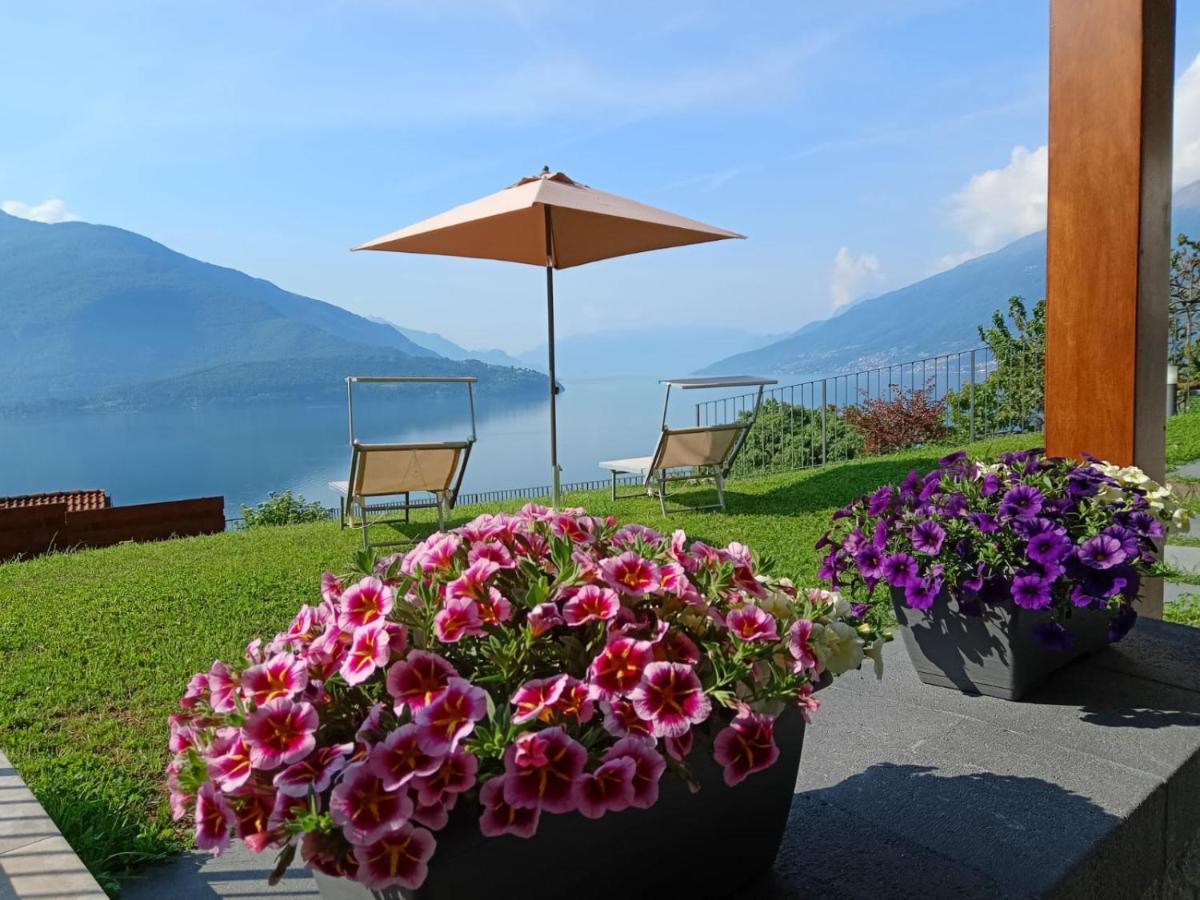 Ca' Del Barba Appartement Domaso Buitenkant foto